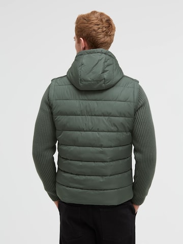 CAMP DAVID Winter Jacket in Green