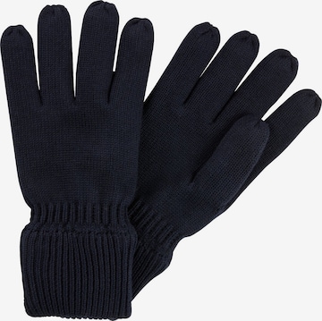 CAMEL ACTIVE Full Finger Gloves in Blue: front
