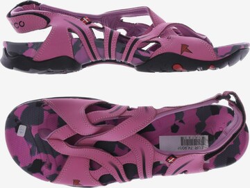 ECCO Sandals & High-Heeled Sandals in 37 in Pink: front