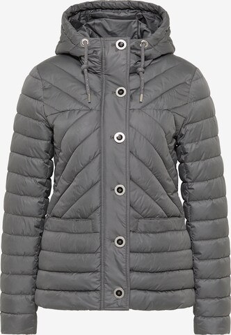 faina Winter Jacket in Grey: front