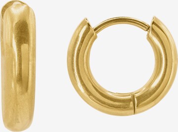 Heideman Earrings 'Norban' in Gold: front