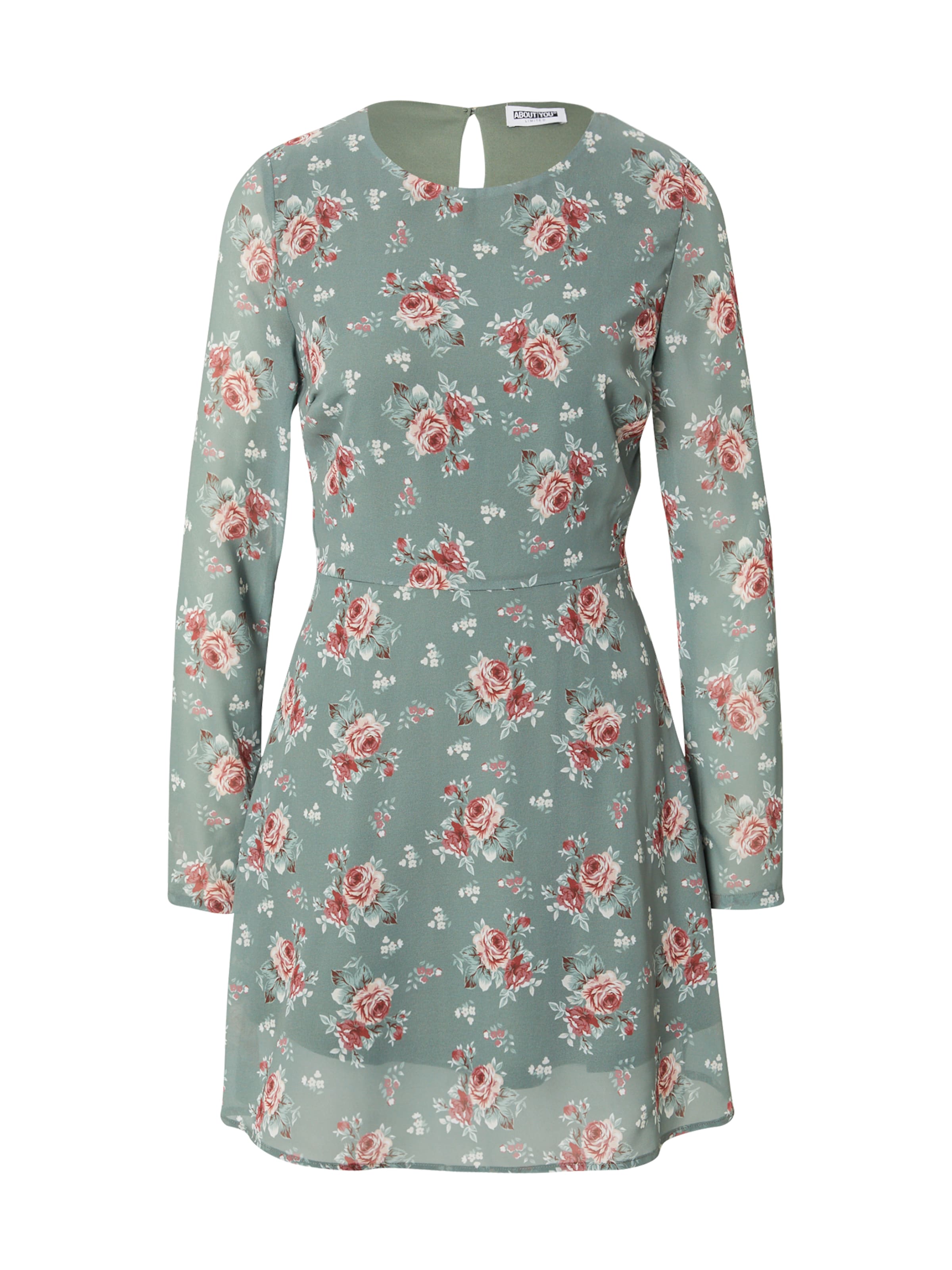 ABOUT YOU Limited Dress &#x27;Glenn&#x27; in Mixed colors: front