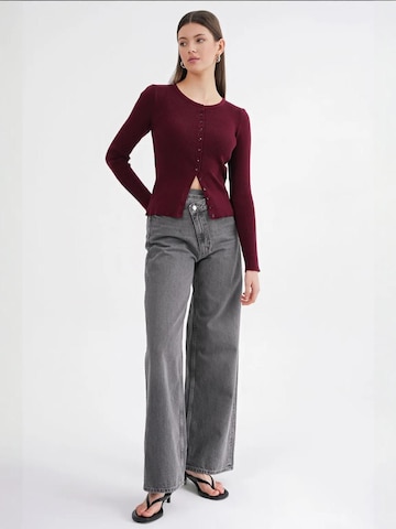 MixRay Knit Cardigan in Red