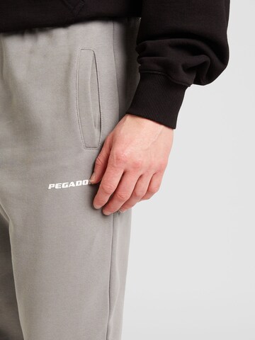 Pegador Tapered Pants in Grey