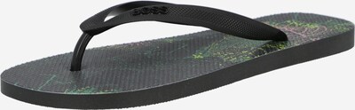 Flip-flops 'Pacific' BOSS Casual pe verde / verde deschis / lila / negru, Vizualizare produs