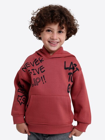 Solang Sweatshirt in Bruin: voorkant