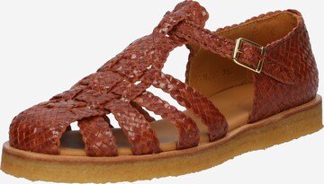 ANGULUS Sandal i brun: framsida