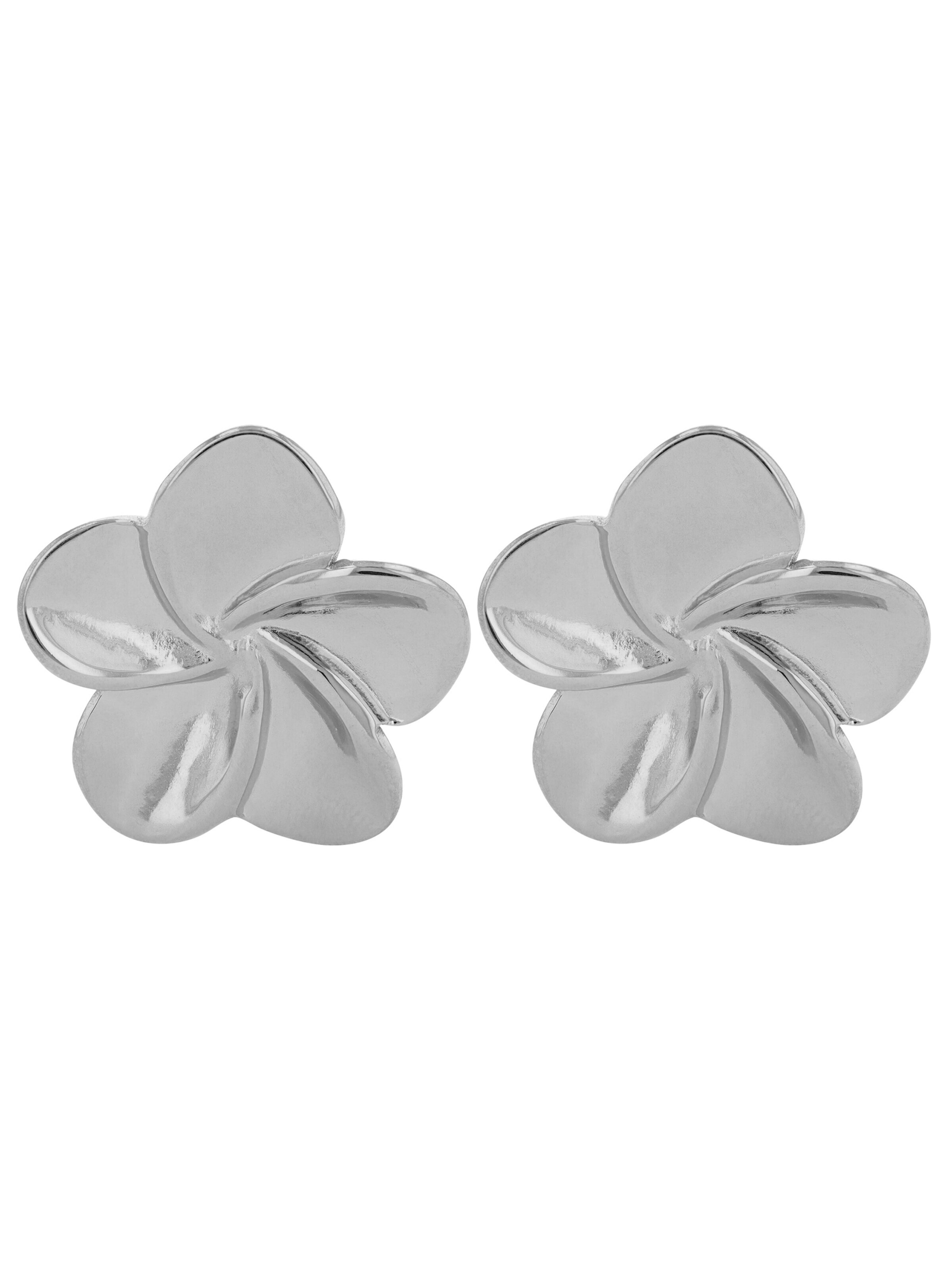Akzent Earrings '"Ebby" aus langlebigem Edelstahl, wasserfest' in Silver: front