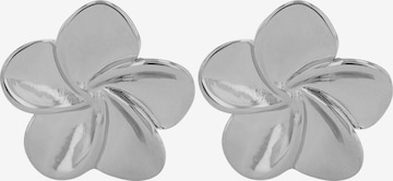 Akzent Earrings '"Ebby" aus langlebigem Edelstahl, wasserfest' in Silver: front