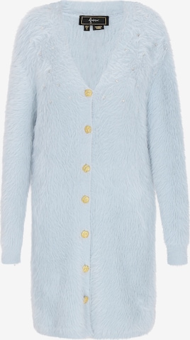 zils faina Adīts mētelis: no priekšpuses