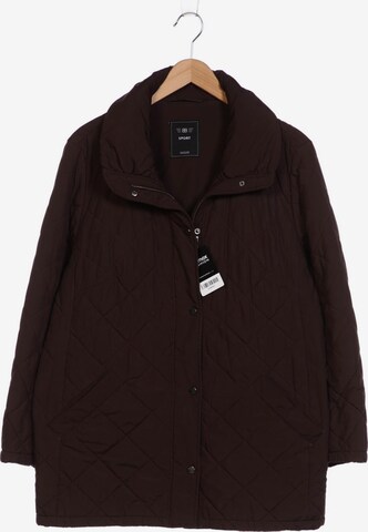 Basler Jacket & Coat in XXL in Brown: front
