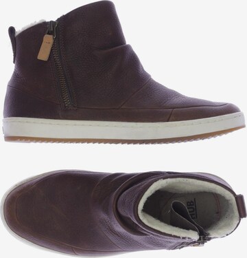 HUB Sneakers & Trainers in 38 in Brown: front