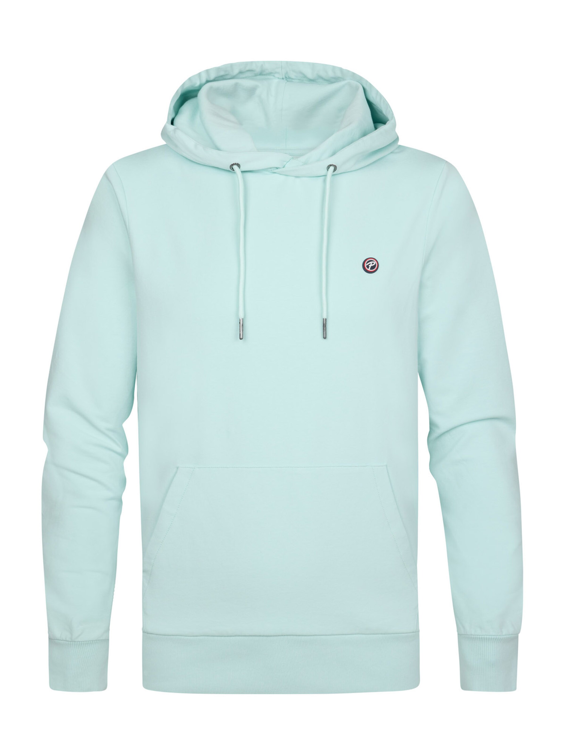 Petrol Industries Sweatshirt in Grün: Vorderseite