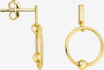 Sofia Milani Ohrringe 'Circle' in Gold: Vorderseite