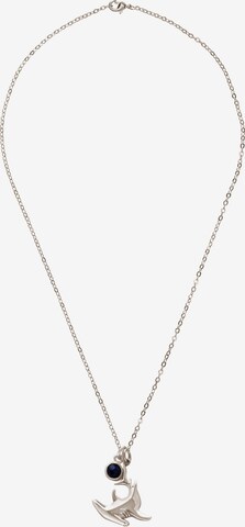 Gemshine Necklace in Silver: front