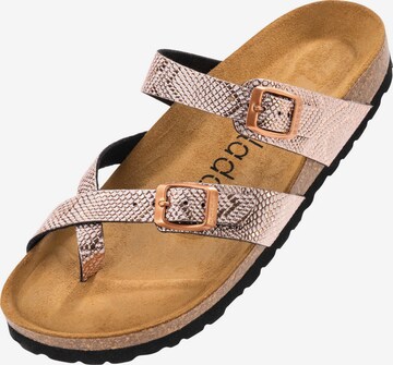 Palado Pantolette 'Cres' in Gold: Vorderseite