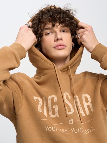 BIG STAR Sweatshirt 'ASHLYNO' in Brown