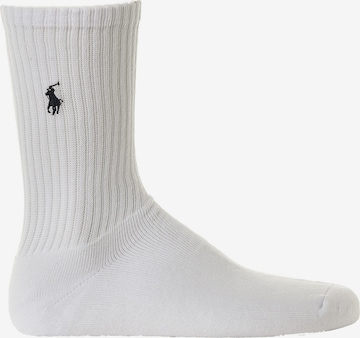 Polo Ralph Lauren Носки 'CREW W/PP-CREW-3 PACK' в Белый