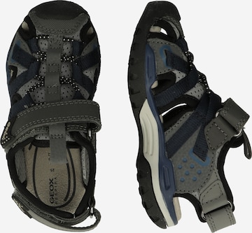 GEOX Sandals & Slippers 'Borealis' in Grey