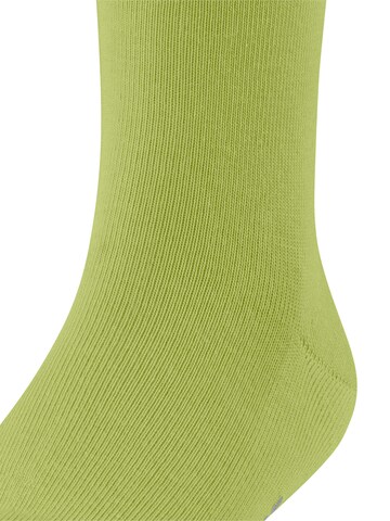 FALKE Socks 'Family' in Green
