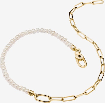Thomas Sabo Kette in Gold: Vorderseite
