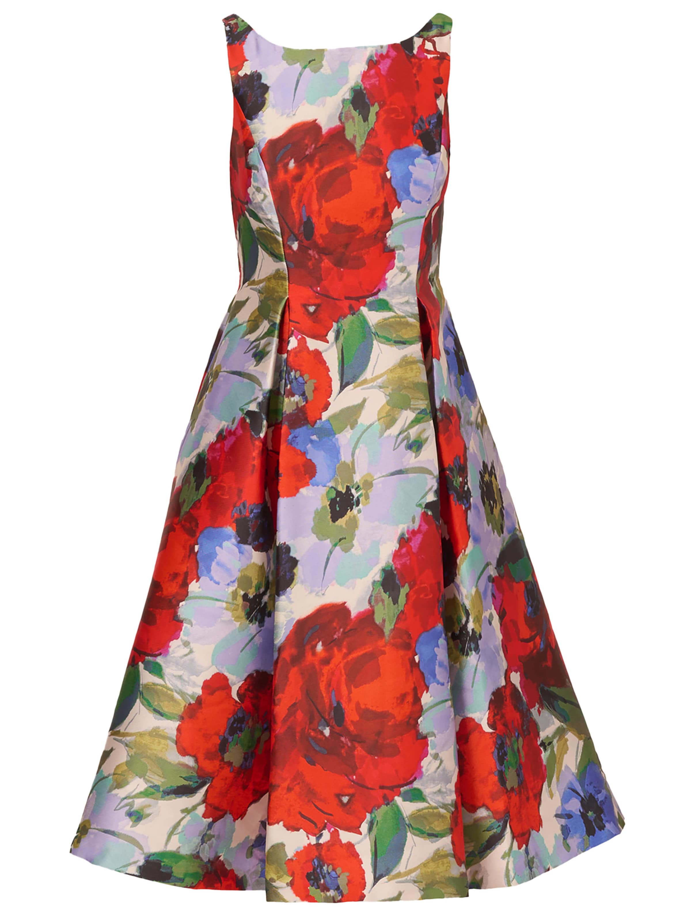 Adrianna Papell Cocktailkleid 'Floral Mikado Midi Dress' in Mischfarben: Vorderseite