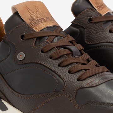 DenBroeck Sneakers in Brown