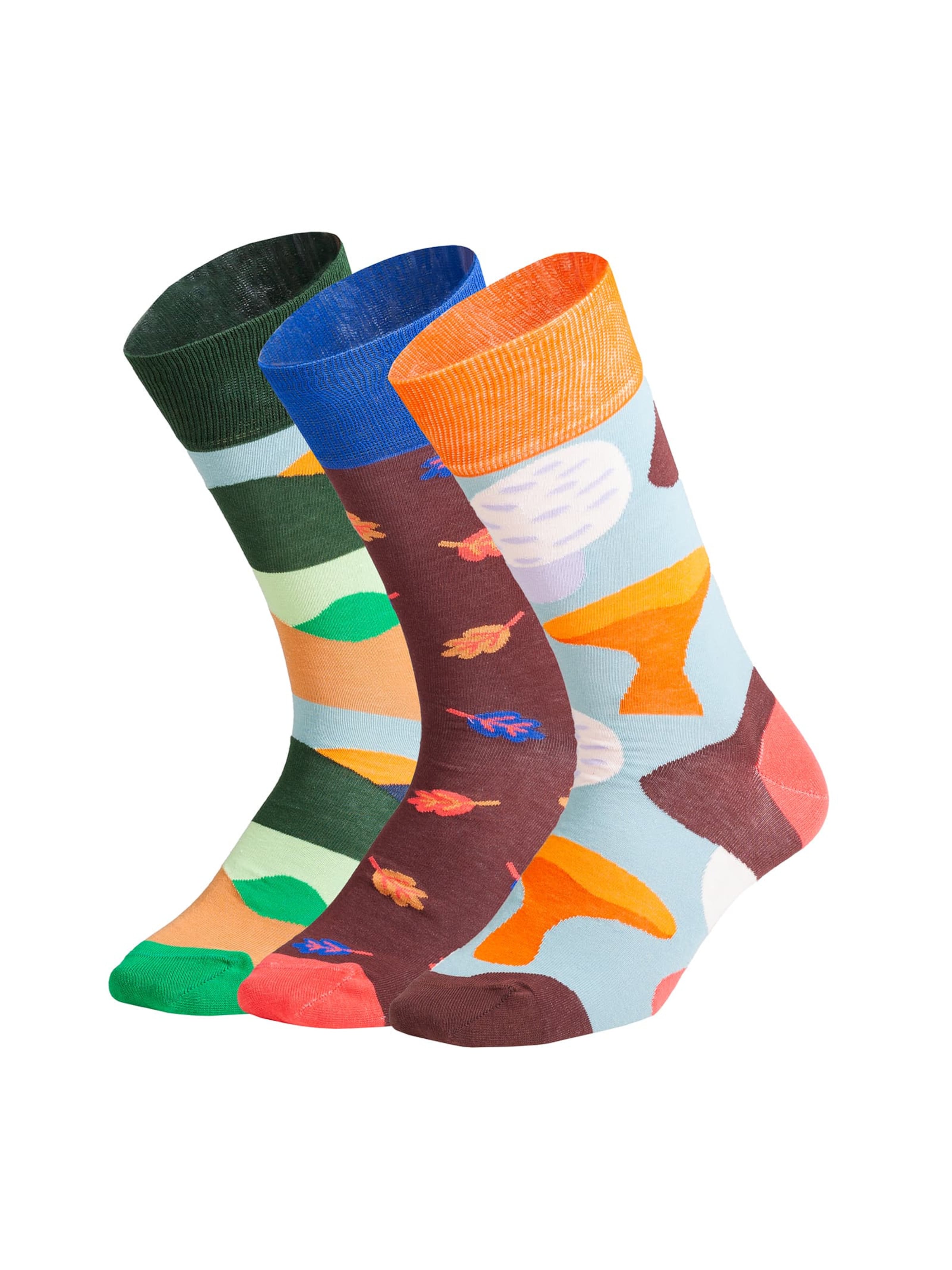 DillySocks Sokker 'Fall Wonders' i blå / mørkegrøn / orange, Produktvisning