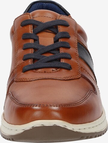 SIOUX Sneakers laag in Bruin