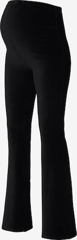 Noppies Flared Pants 'Houston' in Black: front
