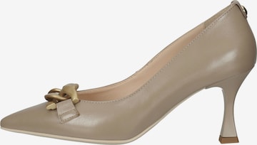 Nero Giardini Pumps in Grau