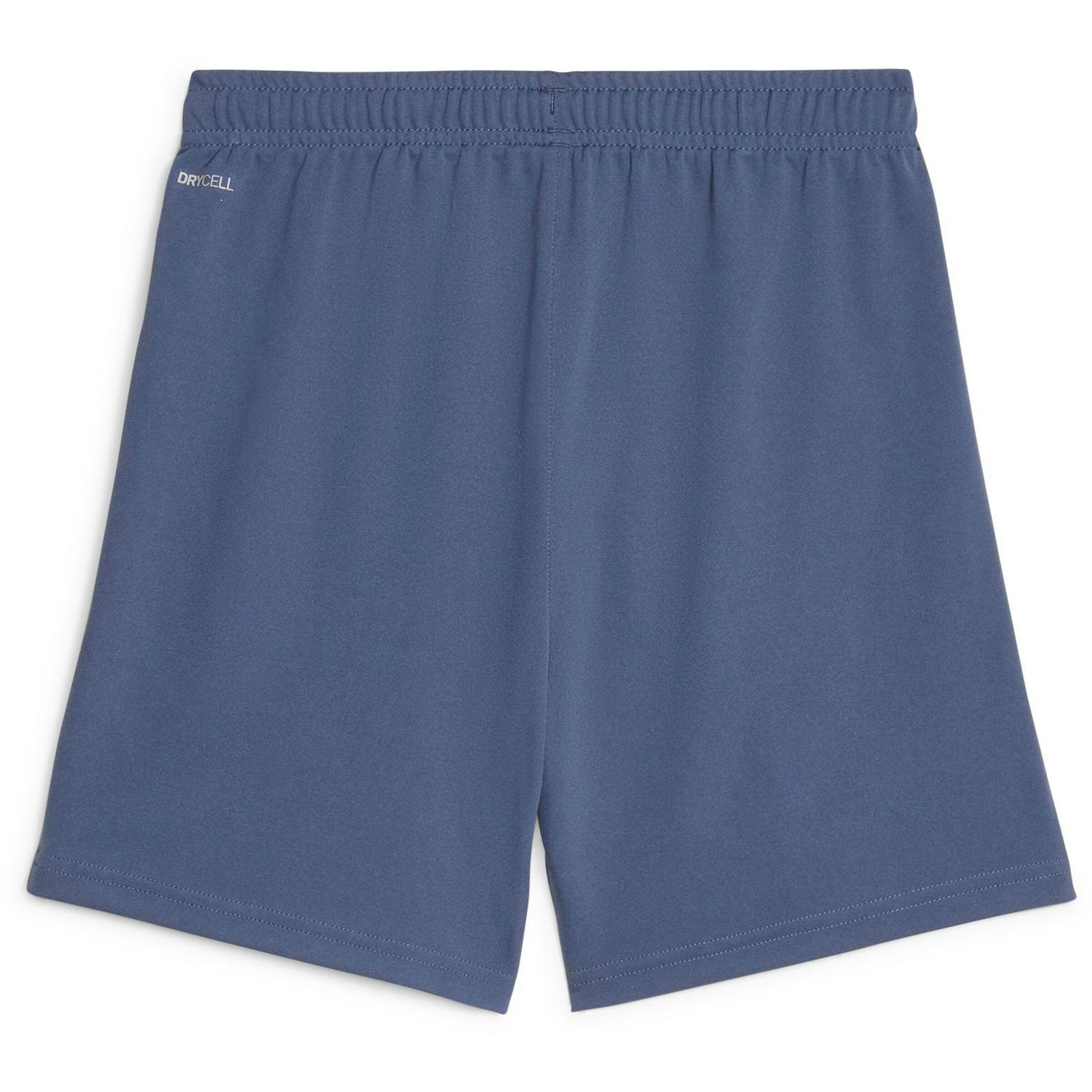 PUMA Regular Pants 'teamLiga' in Blue