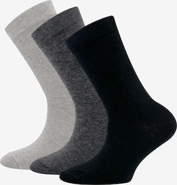 EWERS Socks in Grey: front
