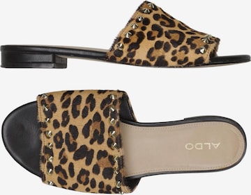 ALDO Sandals & High-Heeled Sandals in 36 in Brown: front