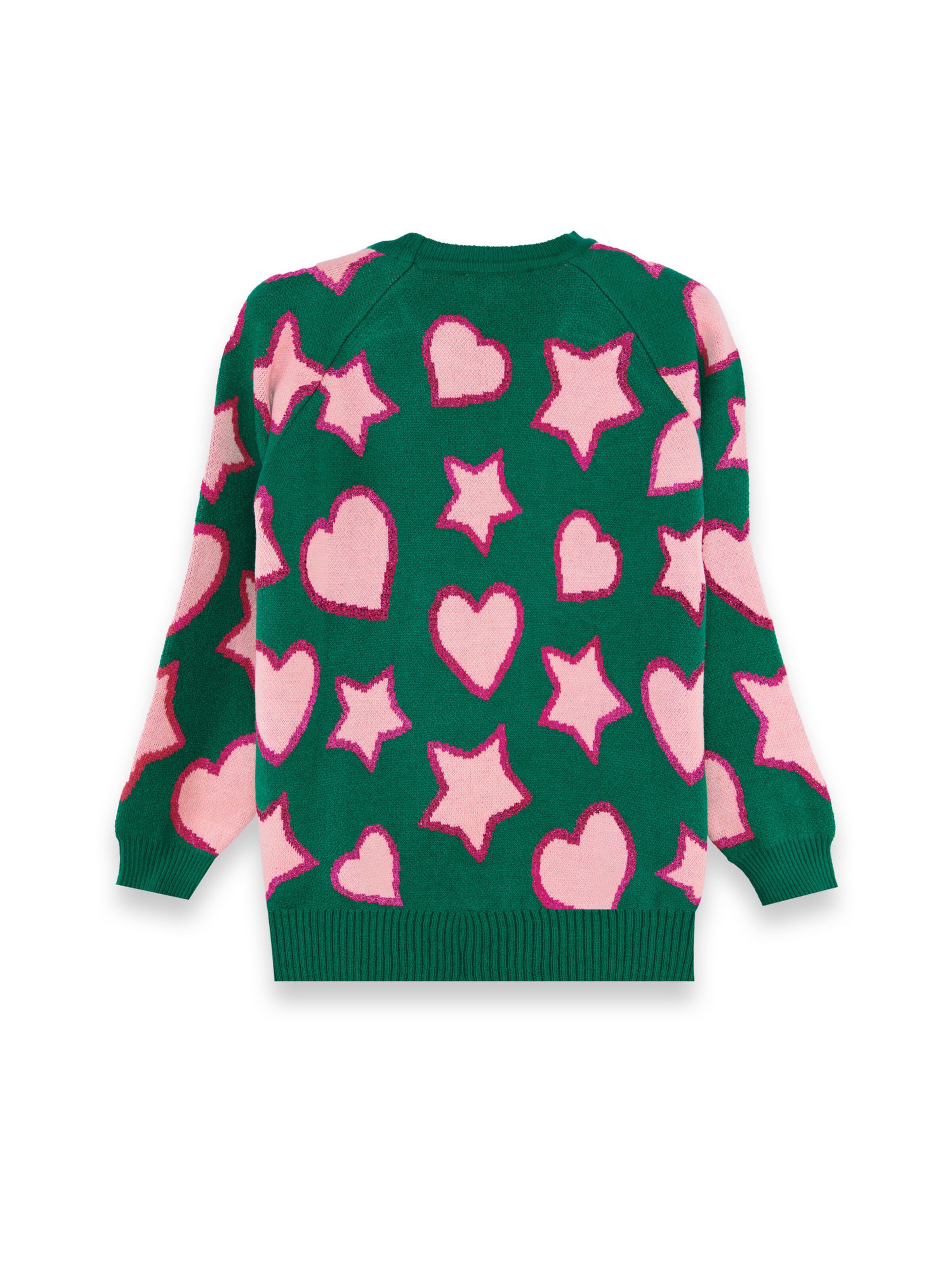 Denokids Trui ' CFF-25S1-057 ' in Groen
