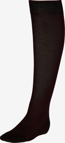 Boggi Milano Knee High Socks in Green: front