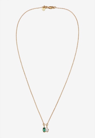 ELLI PREMIUM Ketting in Goud: voorkant