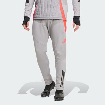 ADIDAS PERFORMANCE Tapered Sporthose ' Tiro 24 Competition' in Grau: Vorderseite