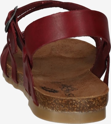 Sandales à lanières COSMOS COMFORT en rouge