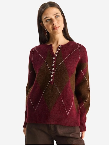 Bianco Lucci Pulover 'Pullover' | rjava barva