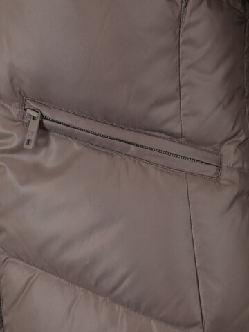 Veste d’hiver Calvin Klein en marron