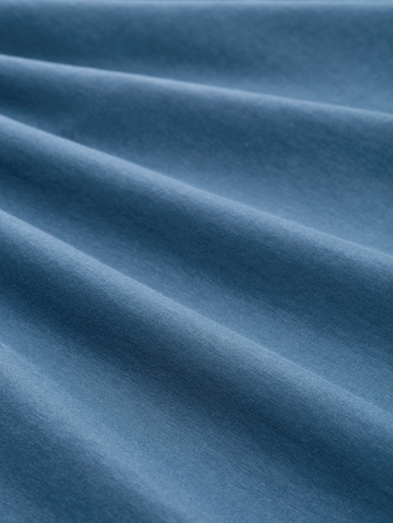 TOM TAILOR Shirt in Blue