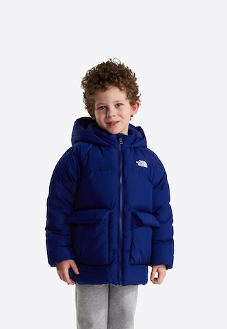 THE NORTH FACE Куртка в спортивном стиле в Синий: спереди