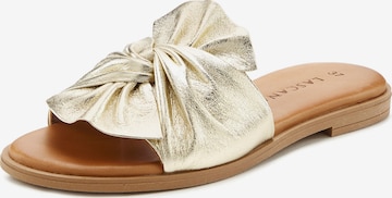 LASCANA Mules in Gold: front