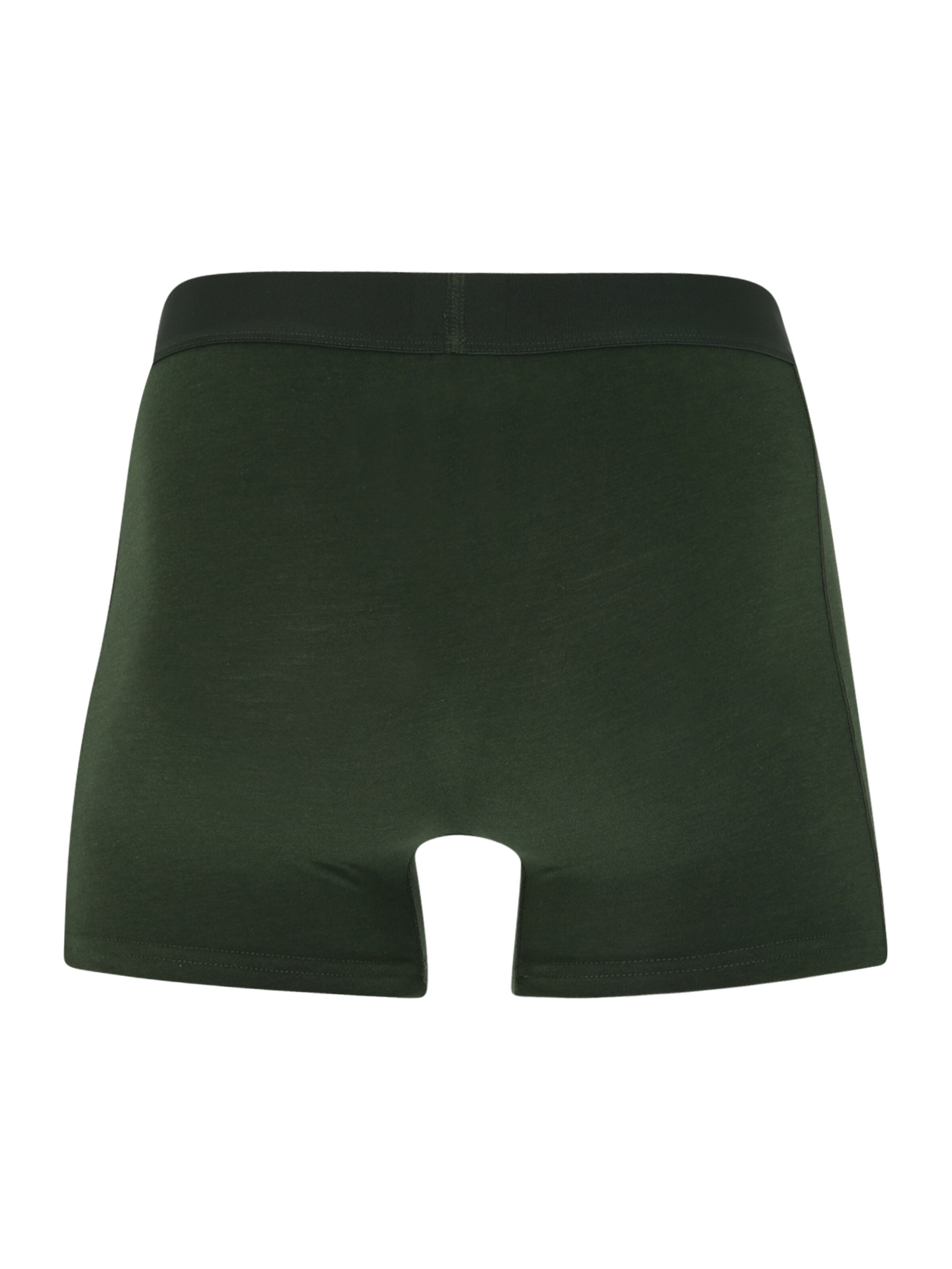 JBS OF DENMARK Boksarice | zelena barva