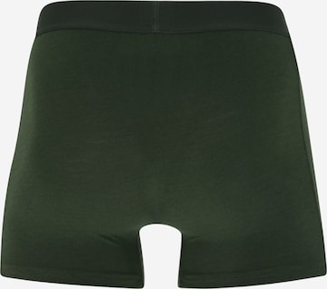 JBS OF DENMARK Boxer shorts in Green