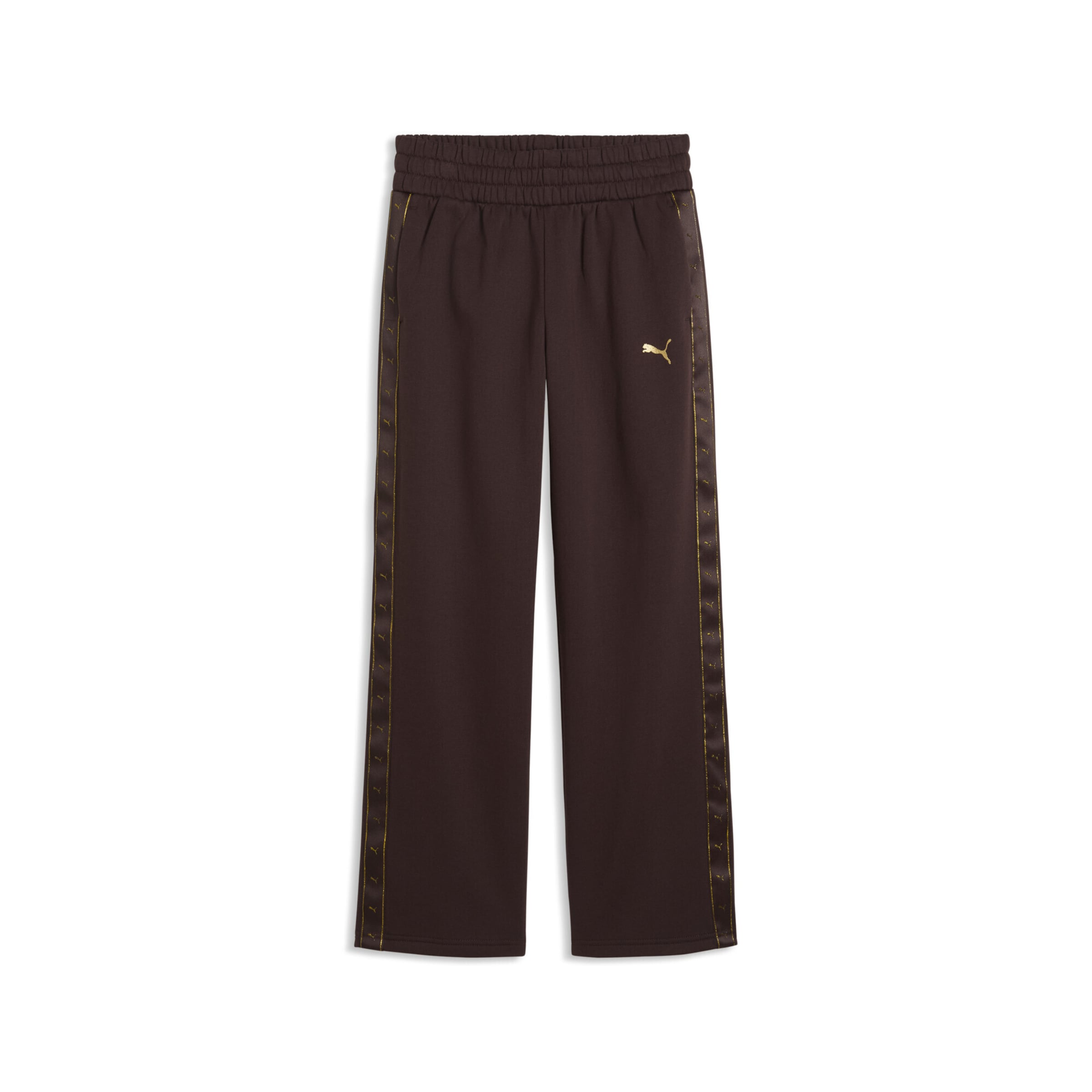 Regular Pantalon de sport PUMA en marron : devant