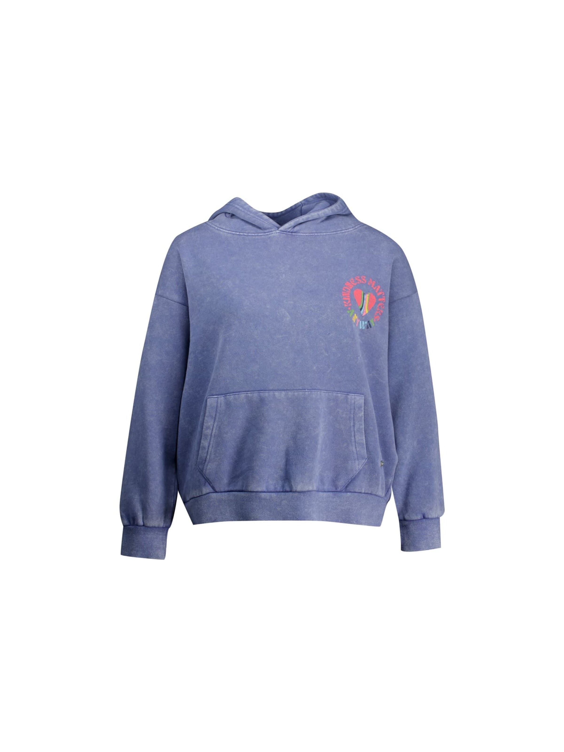 Deeluxe Sweatshirt in Blauw: voorkant