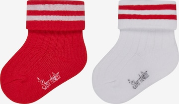 STERNTALER Socks in Pink: front