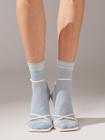 CALZEDONIA Socken in Blau: predná strana